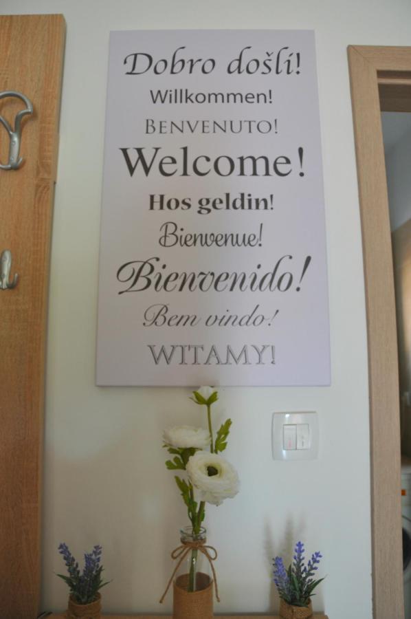 Apartman Tea Privlaka  Εξωτερικό φωτογραφία